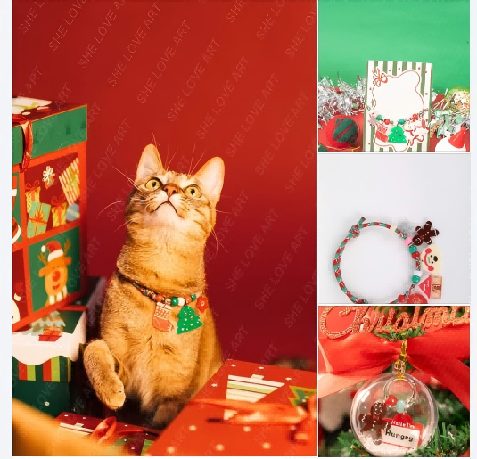 pet necklace 